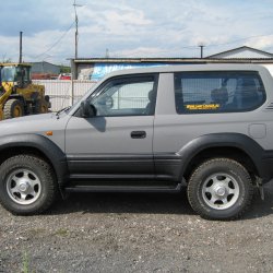 ������ ��������