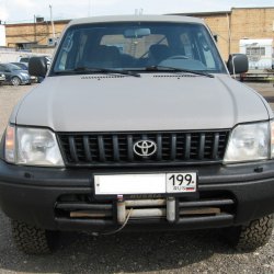 ������ ��������