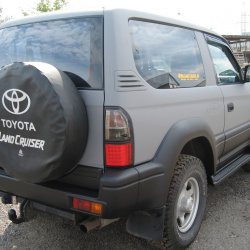 ������ ��������