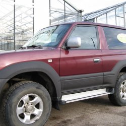 Toyota Prado (�����)