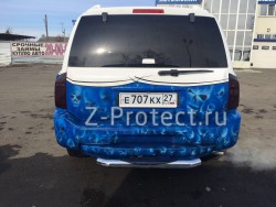 Z-Pro GaragE ���������