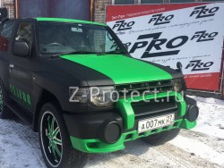 Z-Pro GaragE ���������