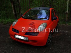 Z-Pro GaragE ���������