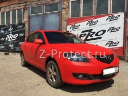 Z-Pro GaragE ���������