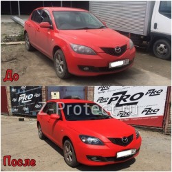 Z-Pro GaragE ���������