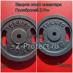 Z-Pro GaragE ���������