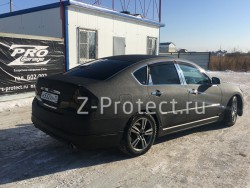 Z-Pro GaragE ���������