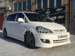 Z-Pro GaragE ���������