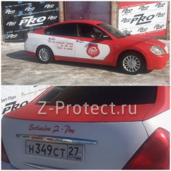 Z-Pro GaragE ���������