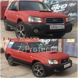 Z-Pro GaragE ���������
